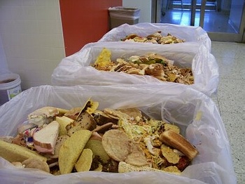 вывоз пищевых отходов